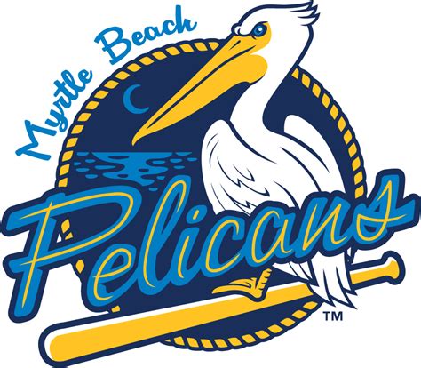 pelicans in myrtle beach